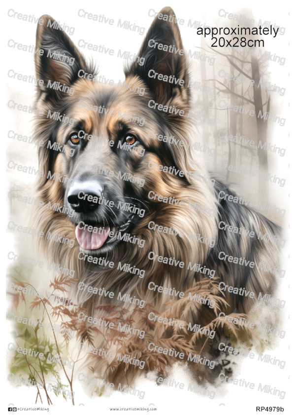 Collies & Sheepdogs Collection