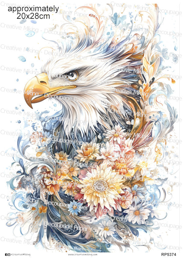 Owls & Birds Of Prey Collection