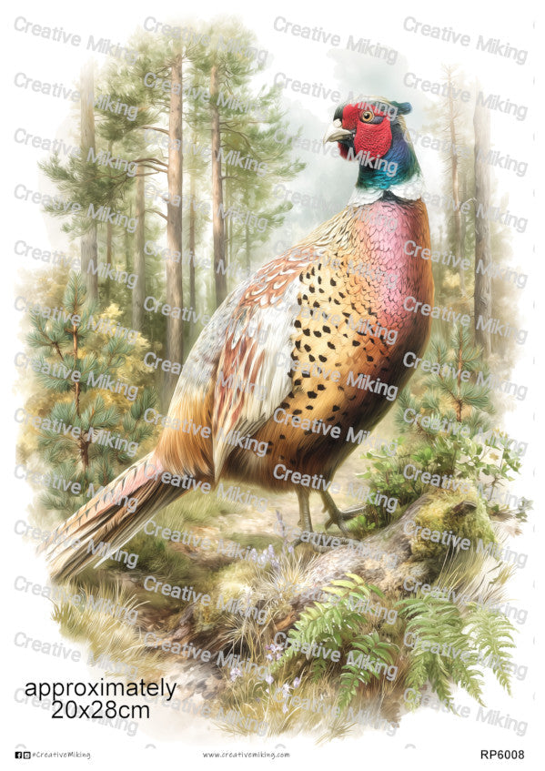Pheasants & Game Birds Collection