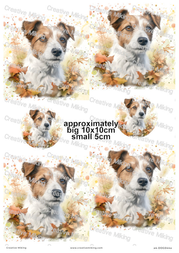Jack Russell Terrier Dog Among Autumn Leaves Decoupage Paper | DOG044a