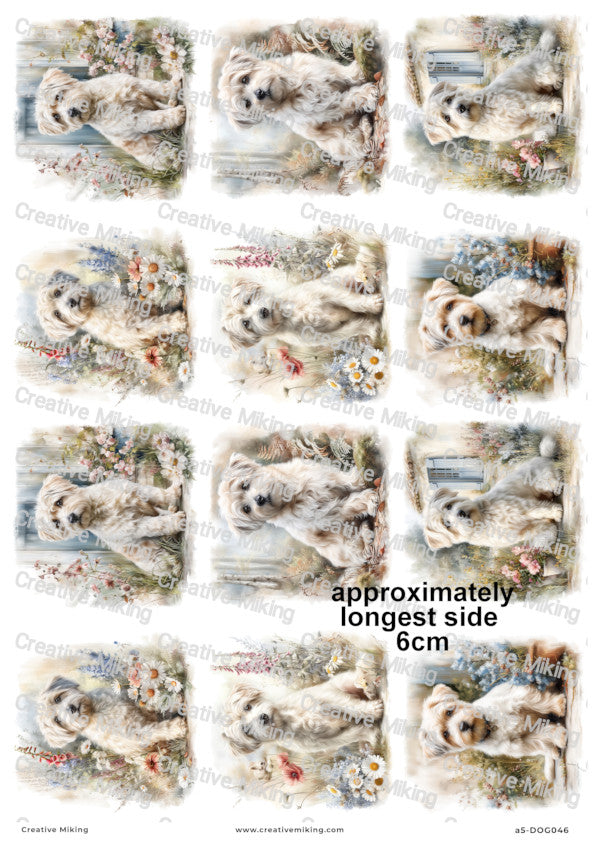 Westiepoo Dog Decoupage Paper | DOG046