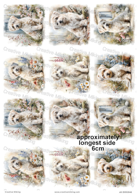 Westiepoo Dog Decoupage Paper | DOG046