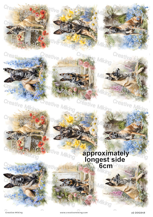 Belgian Malinois Dog Decoupage Rice Paper | DOG048