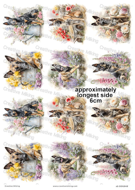 Belgian Malinois Dog Decoupage Rice Paper | DOG049