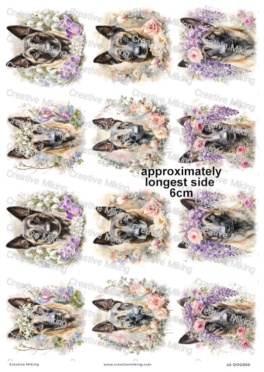 Belgian Malinois Dog Decoupage Rice Paper | DOG050