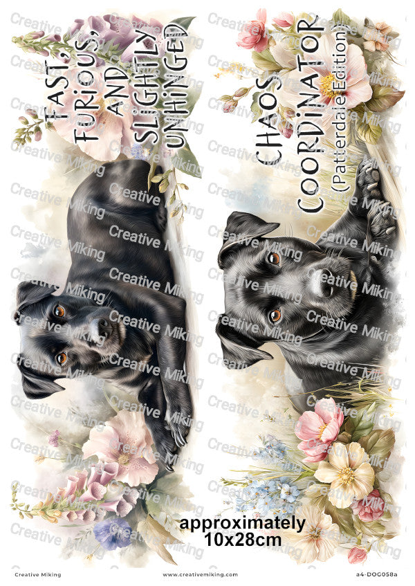 Patterdale Terrier Dog Funny Decoupage Rice Paper | DOG058a
