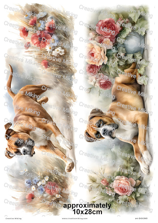 Boxer Dog Decoupage Rice Paper | DOG061