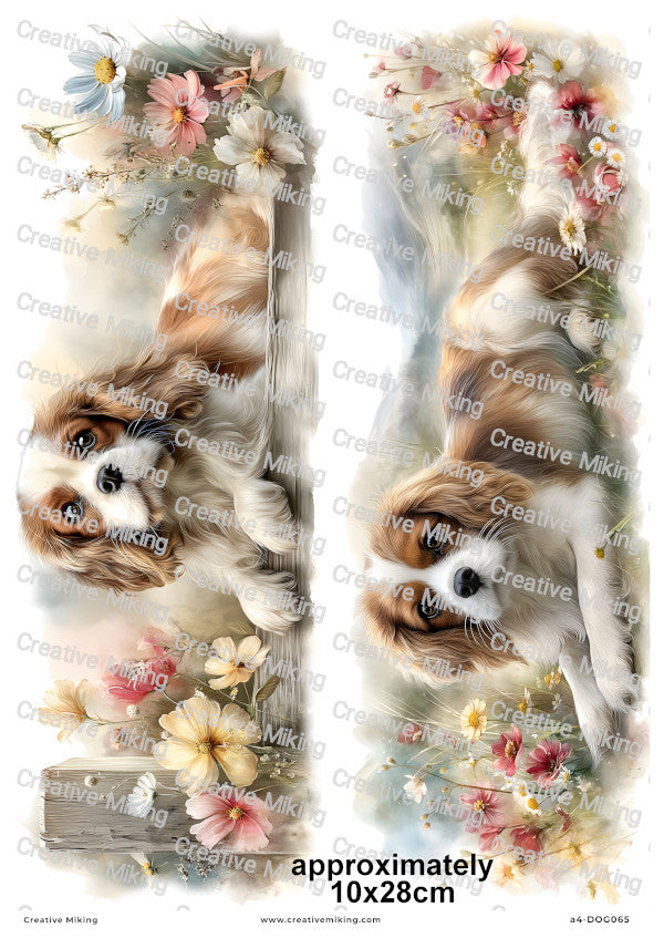 Cavalier King Charles Spaniel Dog Decoupage Rice Paper | DOG065