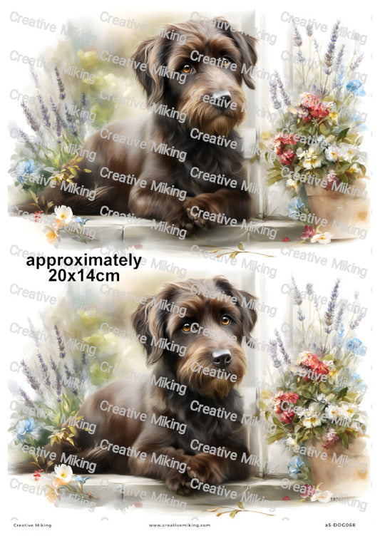 Jackapoo Dog Decoupage Rice Paper | DOG068