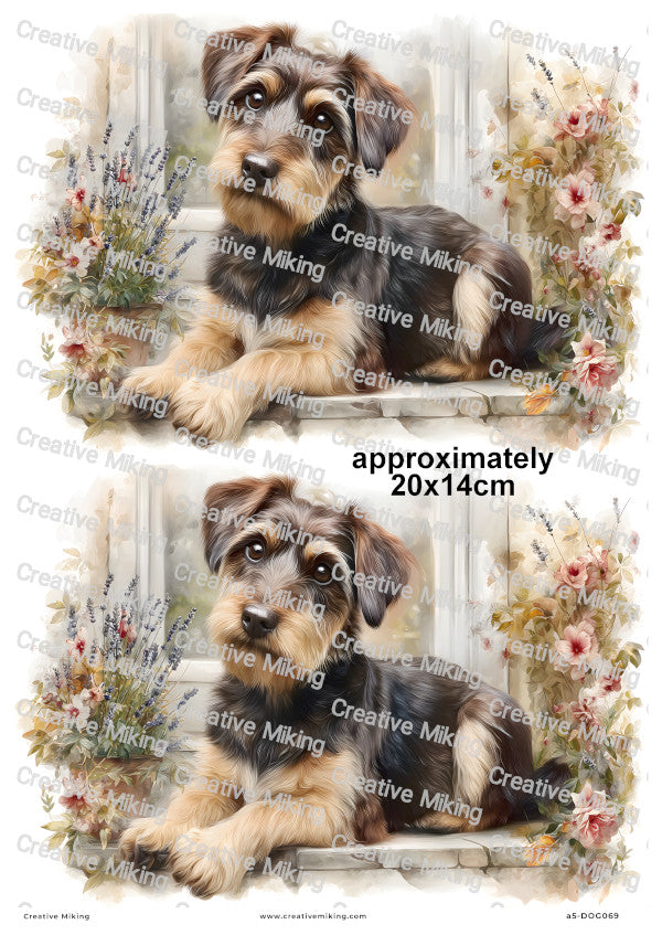 Jackapoo Dog Decoupage Rice Paper | DOG069