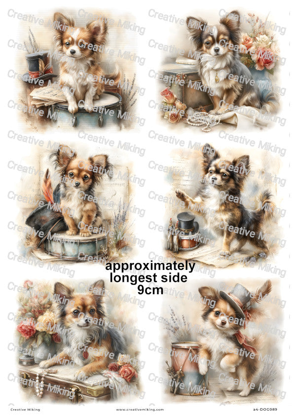 Chihuahua Dog Decoupage Rice Paper | DOG089