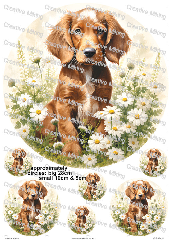 Irish Setter With Daisies Decoupage Rice Paper | DOG092