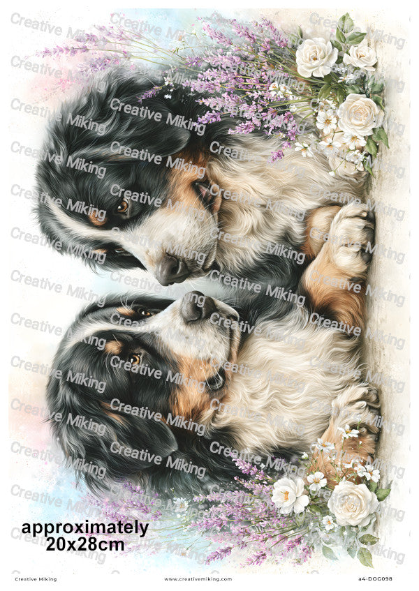 Bernese Mountain Dog Decoupage Rice Paper | DOG098