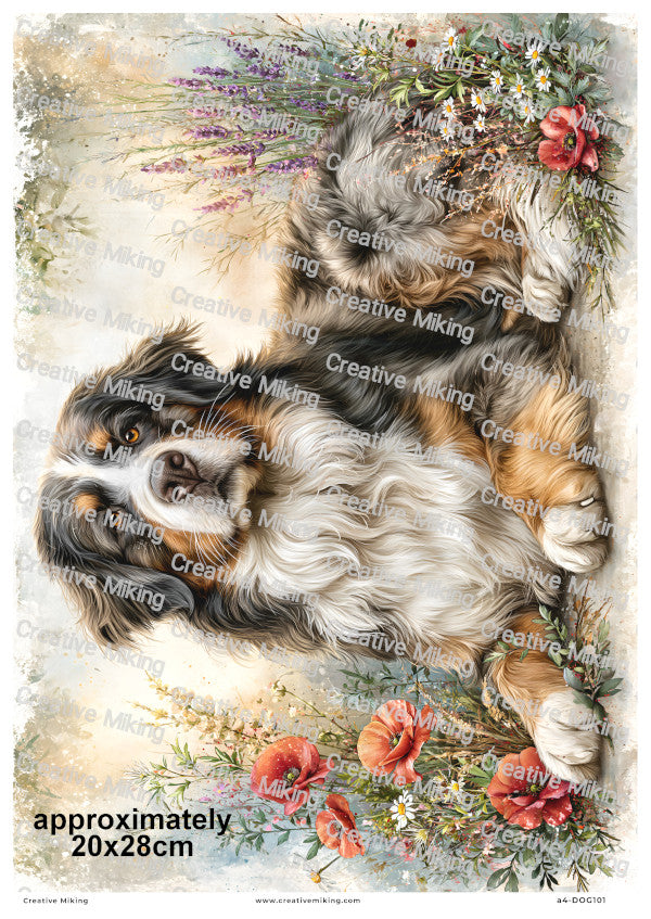 Bernese Mountain Dog Decoupage Rice Paper | DOG101