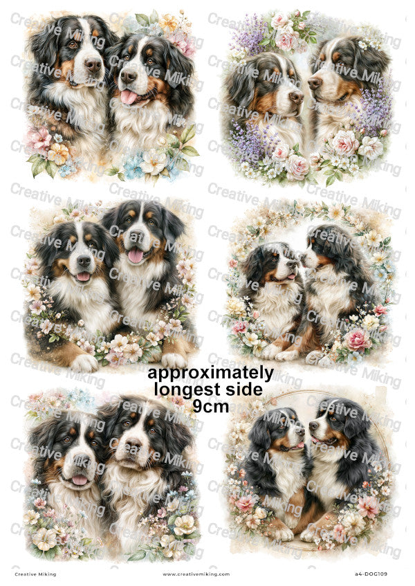 Bernese Mountain Dog Decoupage Rice Paper | DOG109