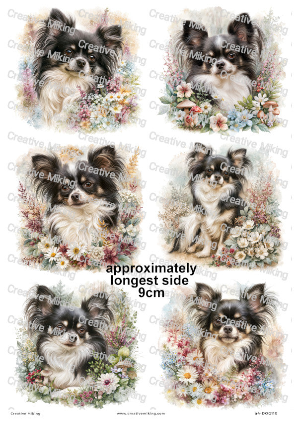 Chihuahua Dog Decoupage Rice Paper | DOG110