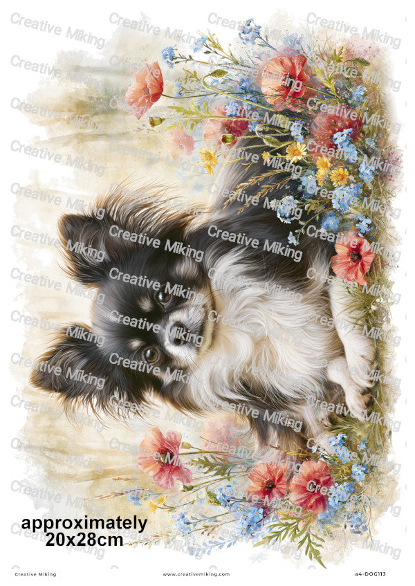 Chihuahua Dog Decoupage Rice Paper | DOG113