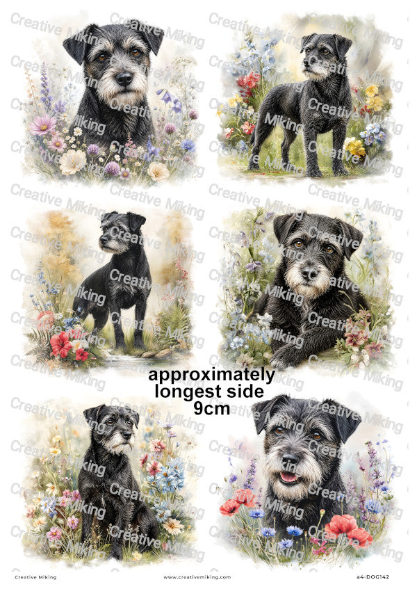 Border Terrier Dog Decoupage Rice Paper | DOG142