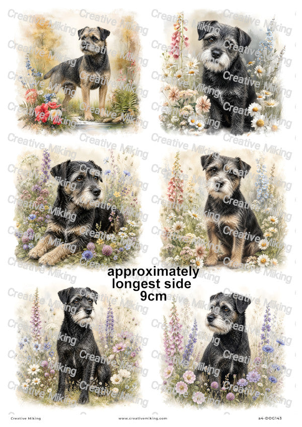 Border Terrier Dog Decoupage Rice Paper | DOG143