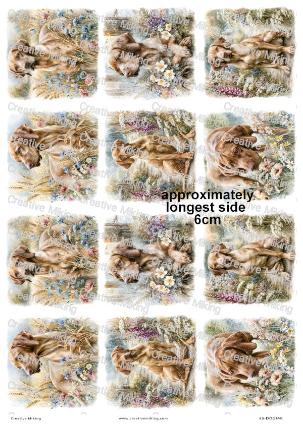 Vizsla Dog Decoupage Rice Paper | DOG146