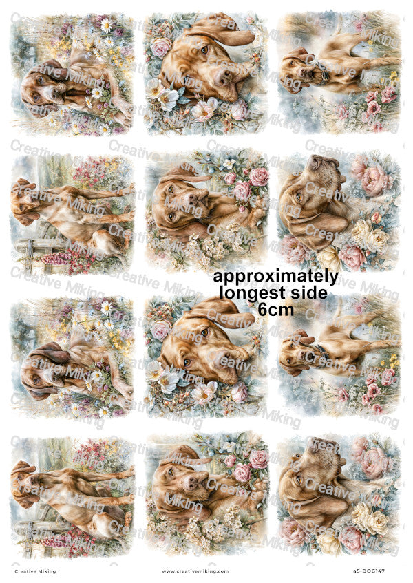 Vizsla Dog Decoupage Rice Paper | DOG147