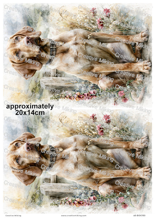 Vizsla Dog Decoupage Rice Paper | DOG150