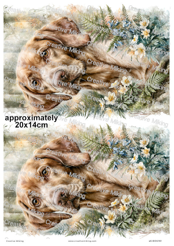 Vizsla Dog Decoupage Rice Paper | DOG151