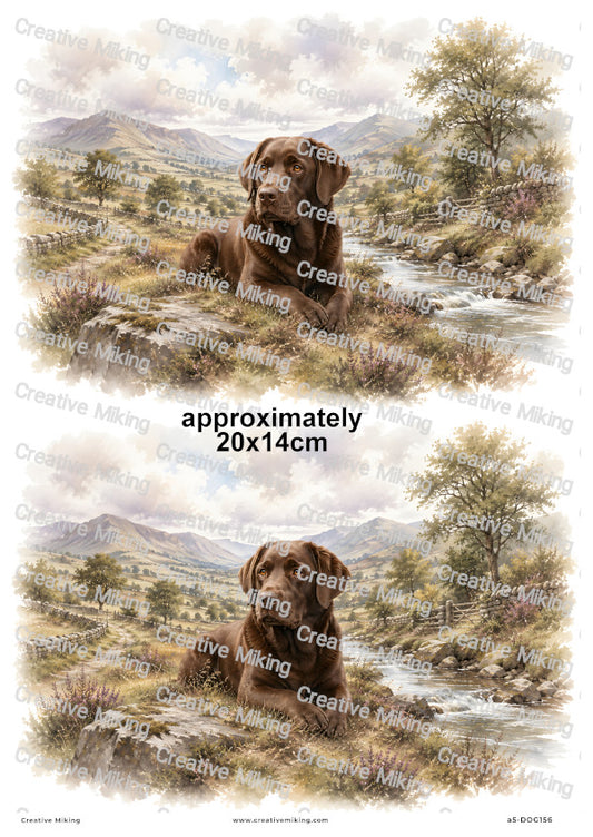 Chocolate Labrador Dog Decoupage Rice Paper | DOG156
