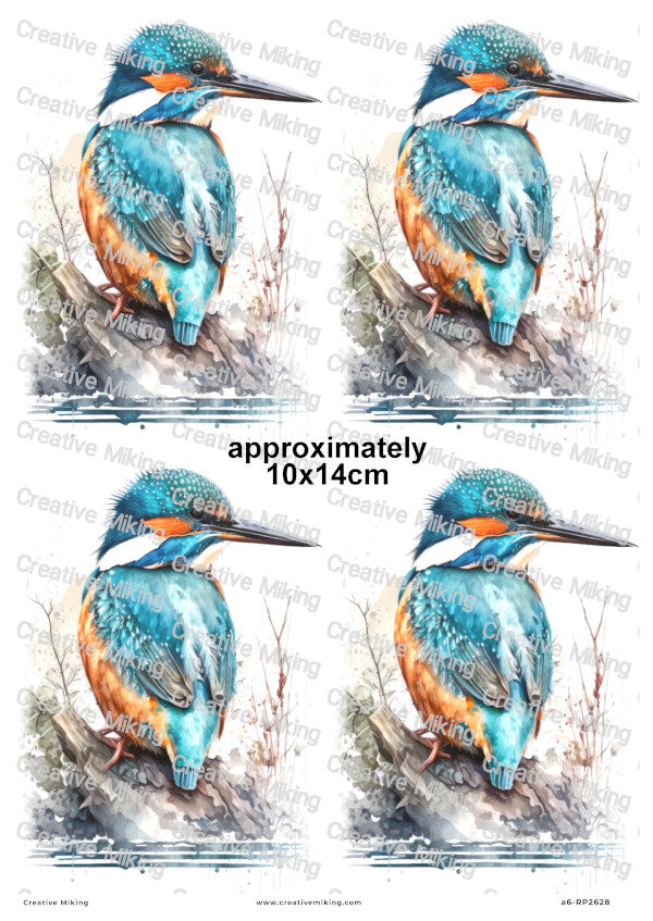 Kingfisher Bird Decoupage Rice Paper | RP2628b