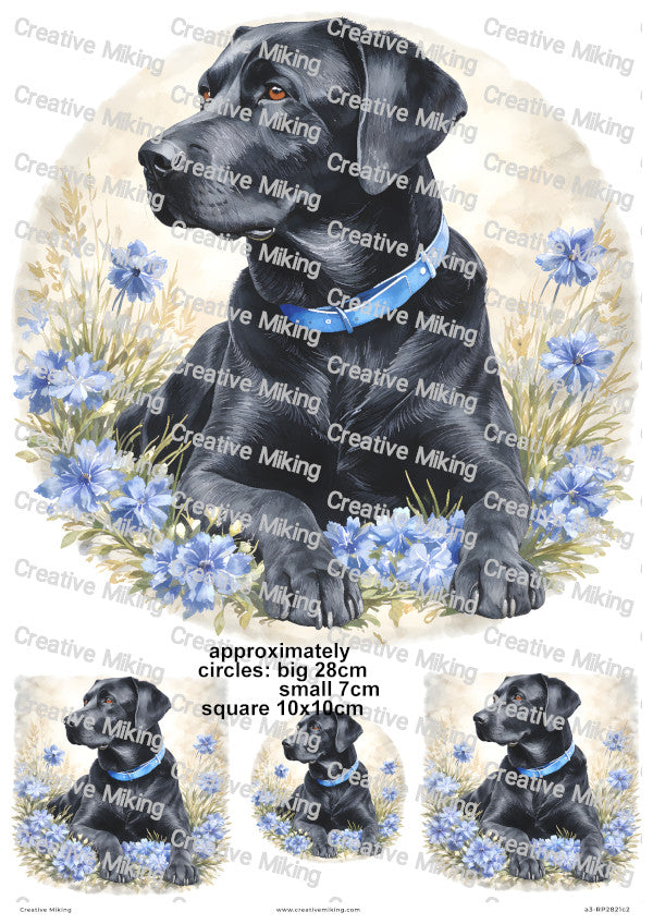 Black Labrador Retriever Dog Among Flowers Decoupage Rice Paper | RP2821c2