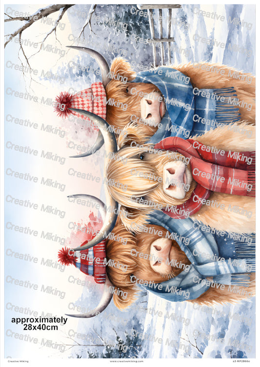 Highland Cows In Winter Scarves Christmas Decoupage Rice Paper | RP2866e