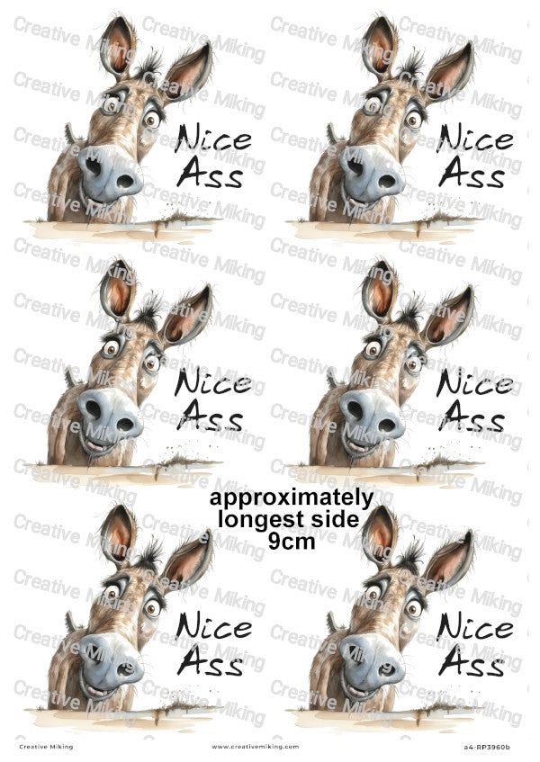 Donkey Funny Decoupage Rice Paper | RP3960b