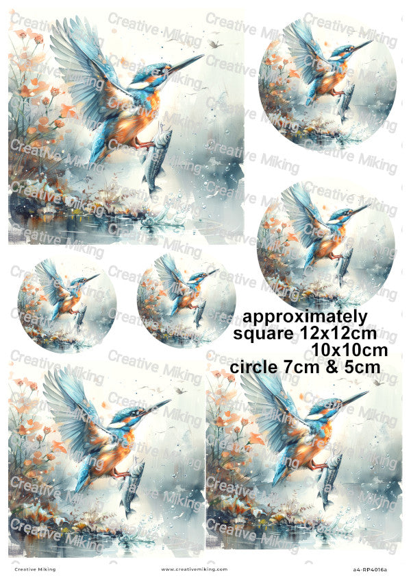 Kingfisher Bird Catching Fish Decoupage Rice Paper | RP4016a