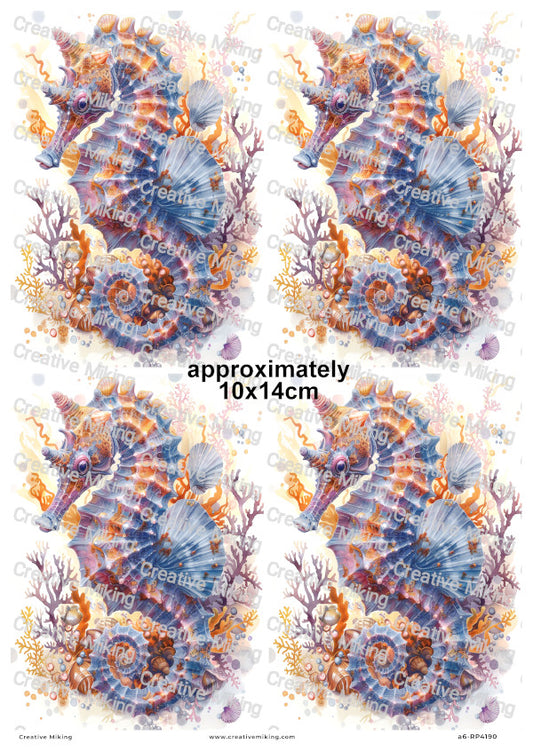 Ocean Seahorse With Coral And Shells Decoupage Rice Paper | RP4190