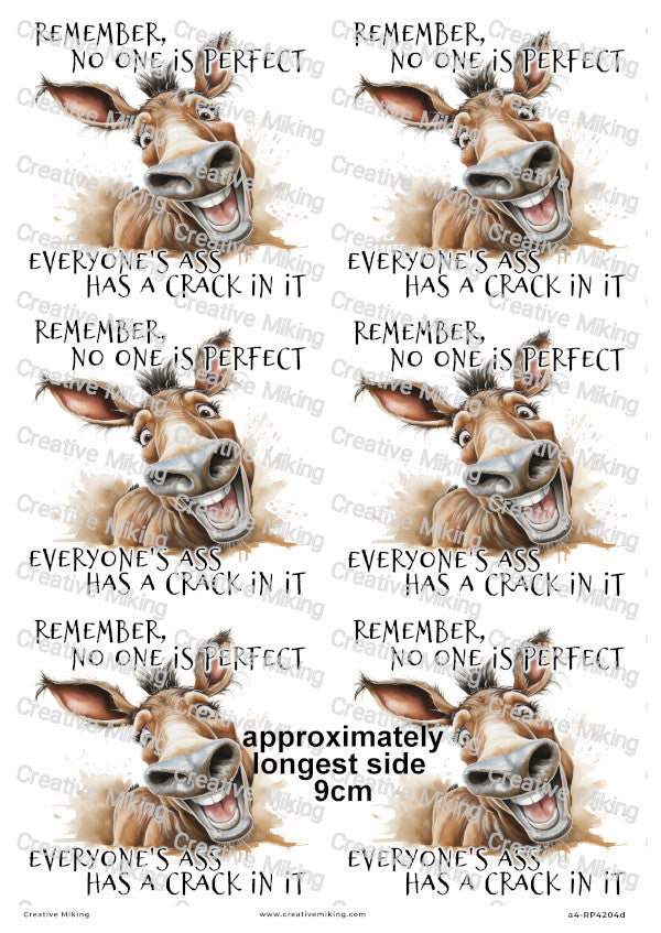 Donkey Funny Decoupage Rice Paper | RP4204d