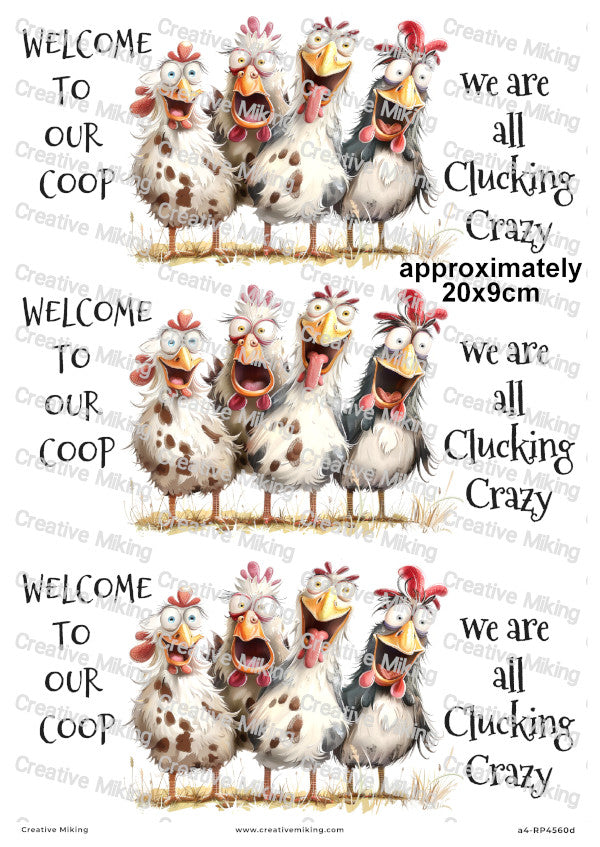 Chicken Funny Decoupage Paper | RP4560d