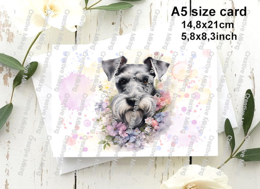RP4569a - Schnauzer