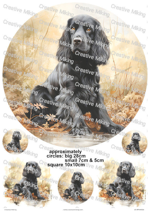 Black English Cocker Spaniel Dog Decoupage Rice Paper | RP4653e