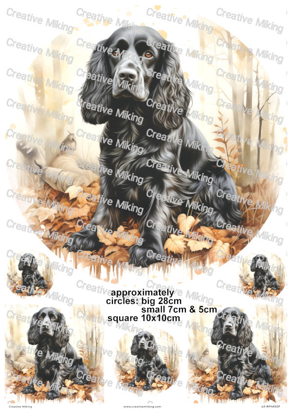 Black English Cocker Spaniel Dog Decoupage Rice Paper | RP4653f
