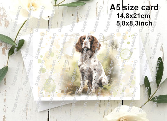 RP4989a - Springer Spaniel