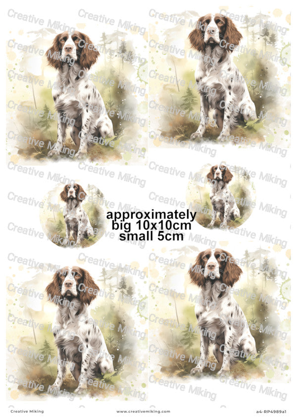 Springer Spaniel Dog Forest Decoupage Paper | RP4989a1