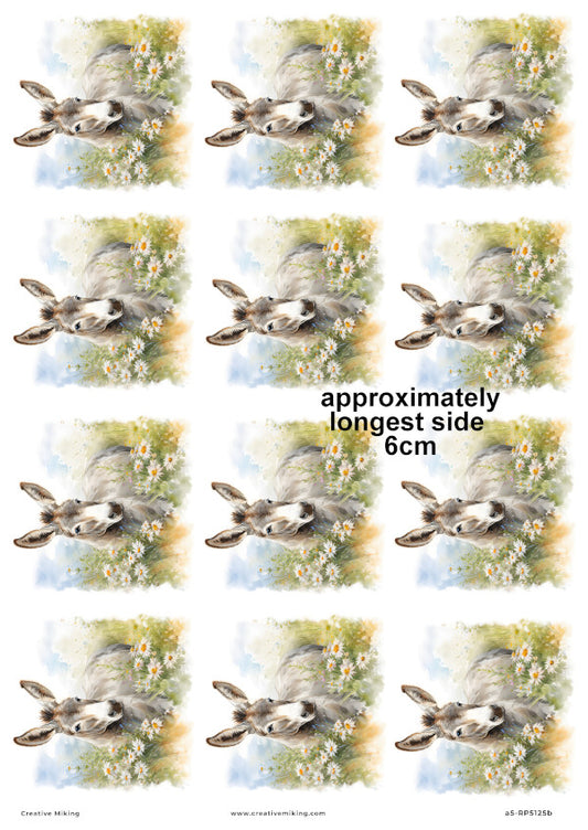 Donkey Among Daisies In Countryside Meadow Decoupage Rice Paper | RP5125b