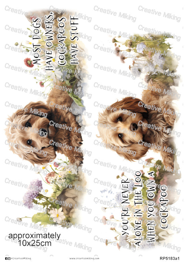 RP5183a1
