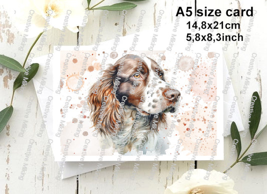 RP5222d - Springer Spaniel