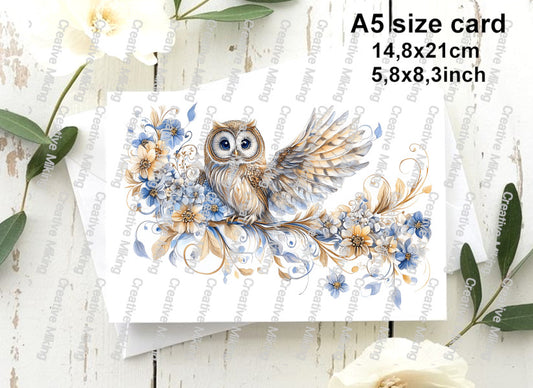 RP5331 - Owl
