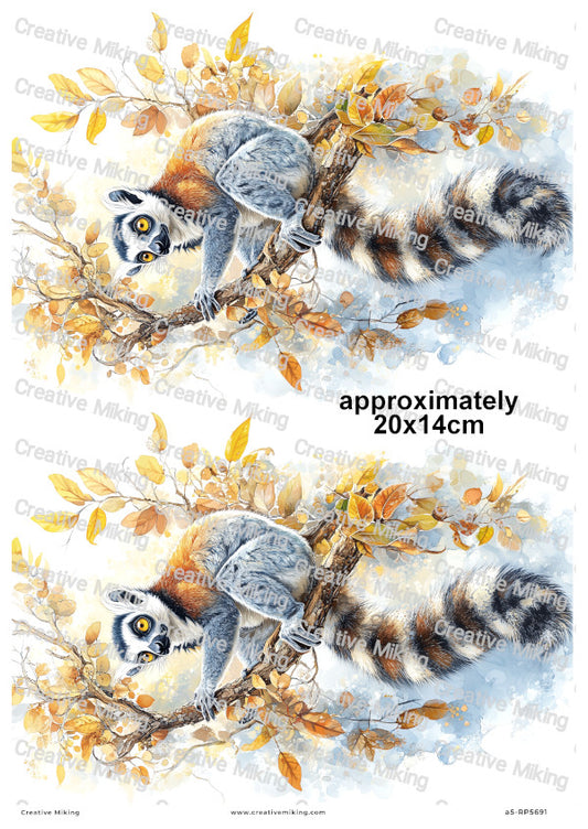 Lemur Decoupage Rice Paper | RP5691