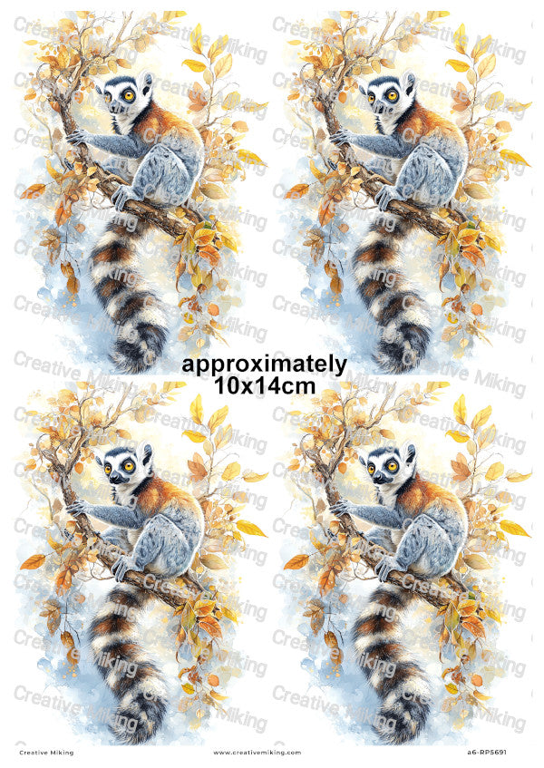 Lemur Decoupage Rice Paper | RP5691