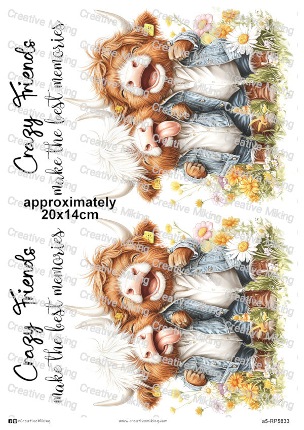 RP5833 - Highland Cows - "Crazy Friends..."