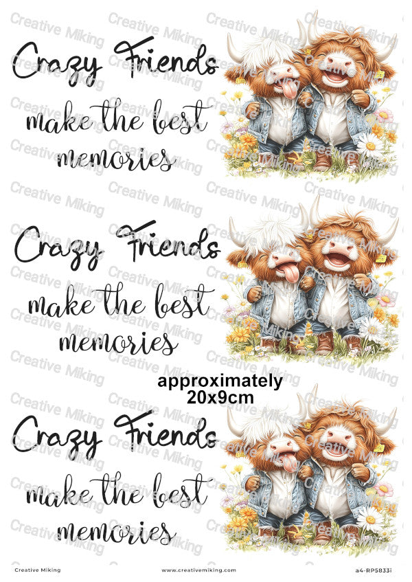 Highland Cows Funny Decoupage Paper | RP5833i