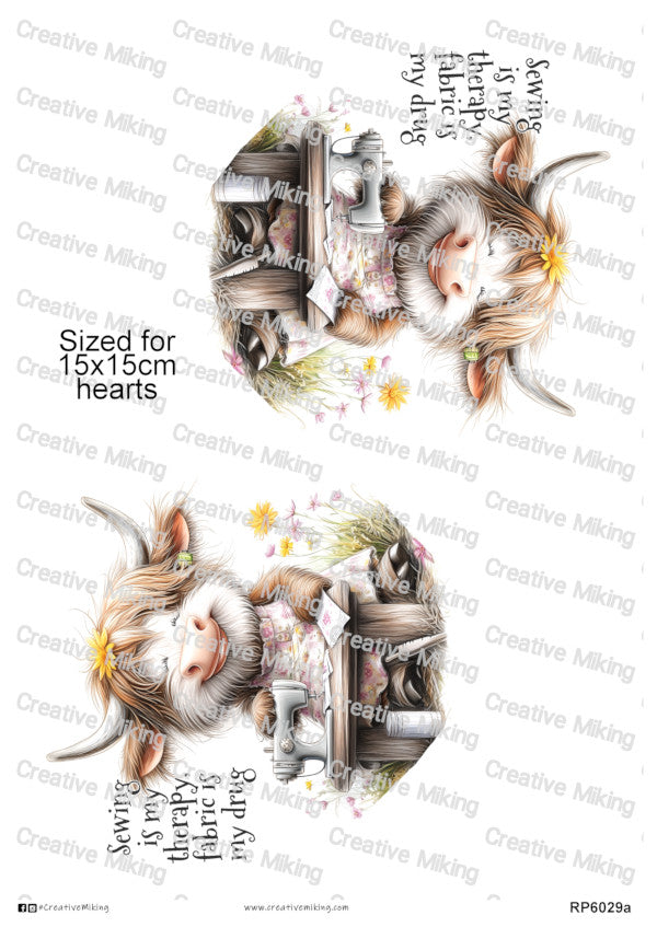 RP6029a